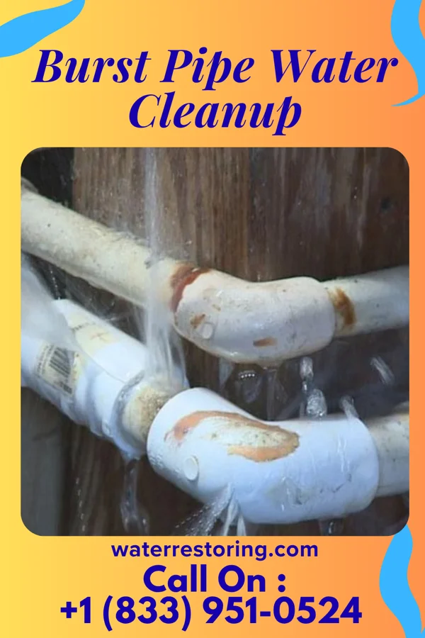 Burst Pipe Water Cleanup in New Holland, OH