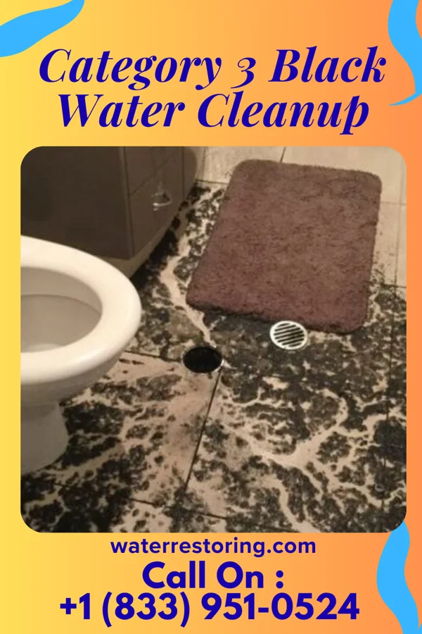 Category 3 Black Water Cleanup in New Holland, OH