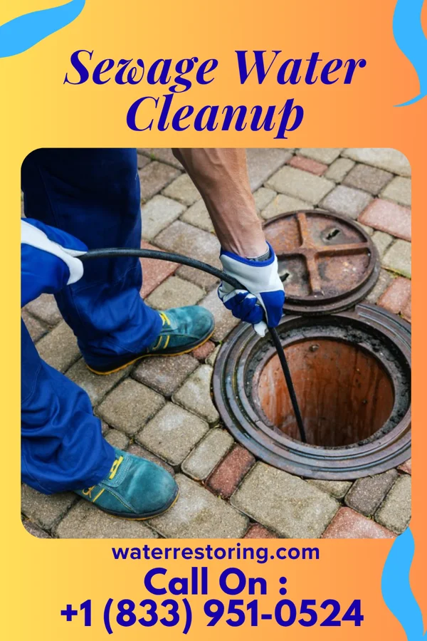 Sewage Water Cleanup in New Holland, OH