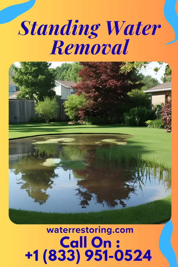 Standing Water Removal in New Holland, OH